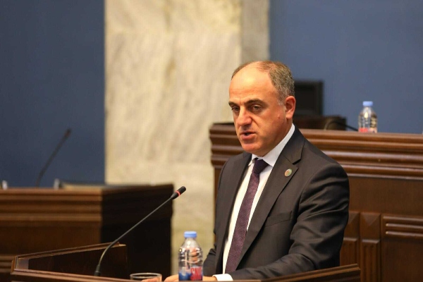 დავით ნარმანიამ სემეკის 2024 წლის საქმიანობის ანგარიში ადამიანის უფლებათა დაცვისა და სამოქალაქო ინტეგრაციის კომიტეტის სხდომაზე წარადგინა