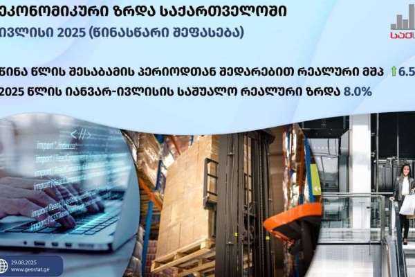 საქართველოში შვიდ თვეში ეკონომიკა რვა პროცენტით გაიზარდა - საქსტატი