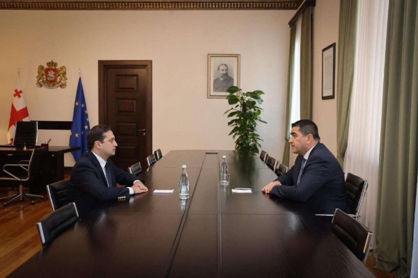 შალვა პაპუაშვილი სახალხო დამცველს, ლევან იოსელიანს შეხვდა