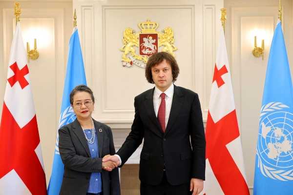 საქართველოს პრემიერ-მინისტრი გაეროს გენერალური მდივნის მოადგილეს შეხვდა