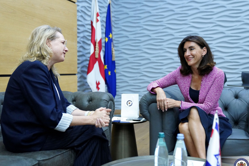 მაკა ბოჭორიშვილმა ისრაელის ელჩთან გამოსამშვიდობებელი შეხვედრა გამართა