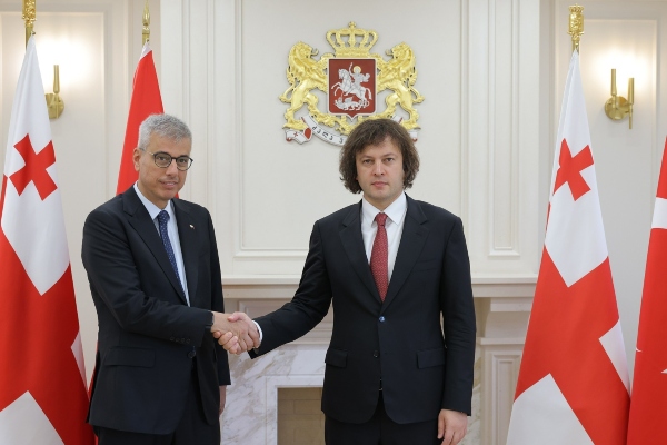 საქართველოს პრემიერ-მინისტრი თურქეთის ჯანმრთელობის მინისტრს შეხვდა
