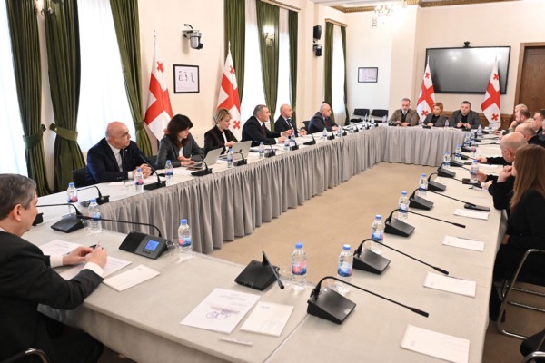 სასურსათო პროდუქციის, მედიკამენტებისა და საწვავის ფასწარმოქმნის სტრუქტურის შემსწავლელი საქართველოს პარლამენტის დროებითი კომისიის სხდომაზე ხილ-პროდუქტების და წვენების მწარმოებლებს მოუსმინეს