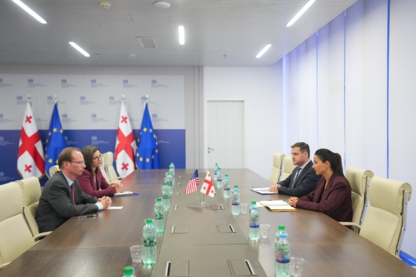 მარიამ ქვრივიშვილი აშშ-ის ელჩის მოვალეობის შემსრულებელს ალან პერსელს შეხვდა