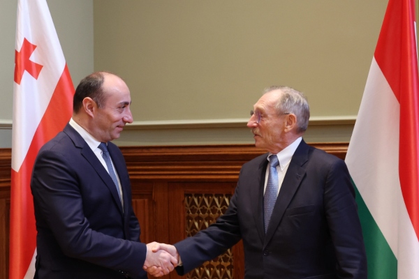 გეკა გელაძე უნგრეთის შინაგან საქმეთა მინისტრ შანდორ პინტერს შეხვდა