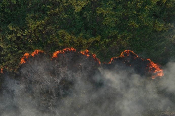 ესპანეთში ტყის ხანძრებს ებრძვიან