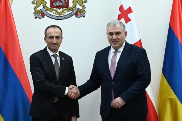 მიხეილ სარჯველაძე სომხეთის შრომისა და სოციალურ საკითხთა მინისტრს შეხვდა