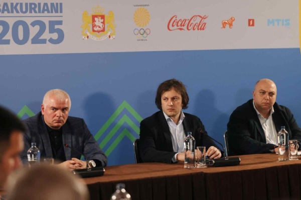 პრემიერმა ევროპის ზამთრის ახალგაზრდული ოლიმპიური ფესტივალის სამზადისთან დაკავშირებით ანგარიში მოისმინა